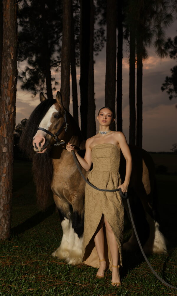 Vestido Ravena Camel