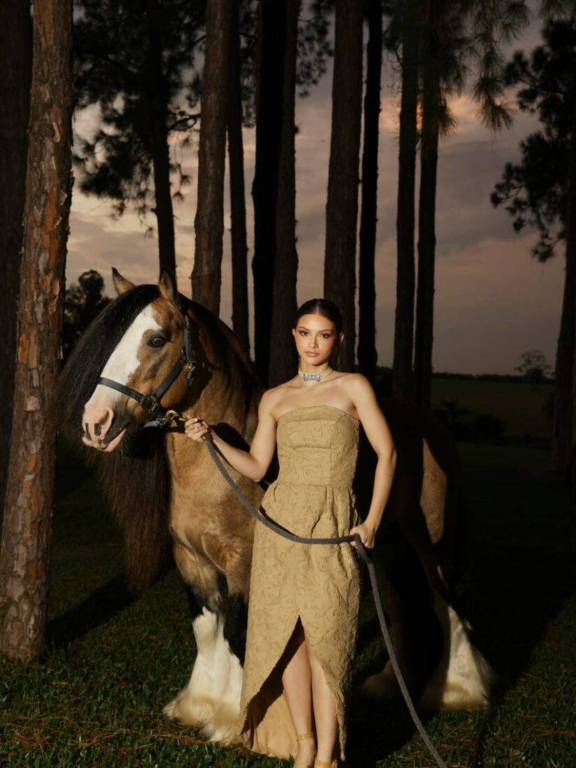 Vestido Ravena