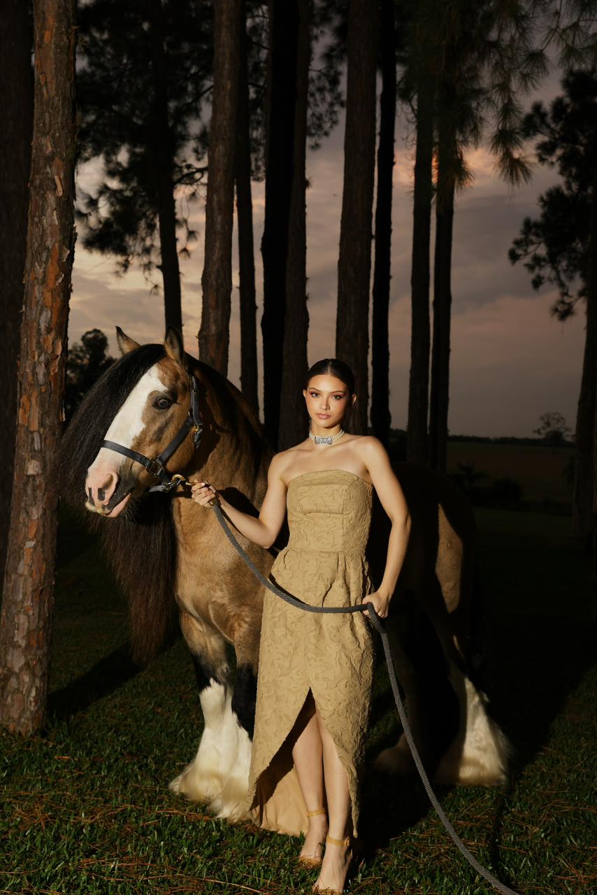 Vestido Ravena